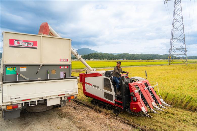 新米 米 玄米 30kg ひとめぼれ 【2月上旬発送】 令和7年産 gt-higxx30 山形県産 ご入金確認後、2月上旬より順次発送