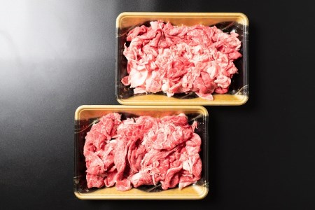 山形牛 肉 牛肉 切り落としセット 計1000g ja-gnkrx1000