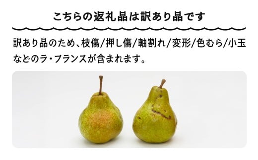 ラ・フランス 洋梨 訳あり 約5kg 2025年産 令和7年産 フルーツ 果物 山形県 ns-lawax5 5kg　訳あり