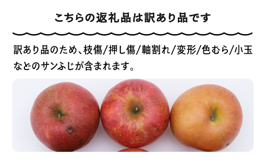 りんご サンふじ 訳あり 約5kg 2025年産 令和7年産 フルーツ 果物 山形県 ns-riwax5