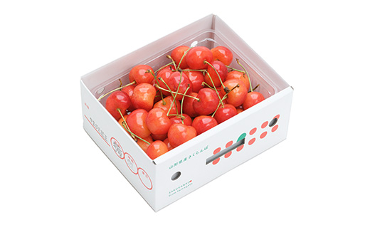 さくらんぼ やまがた紅王 べにおう 秀2Lサイズ バラ詰め 500g 2026年産 令和8年産 山形県産 ふるさと納税 果物 くだもの フルーツ 期間限定 冷蔵配送 先行受付 グルメ 取り寄せ ご当地 特産 産地 直送 送料無料 東北 山形県 人気山形県産 果物 フルーツ くだもの ns-ybs2b500 秀2Lサイズ 500g