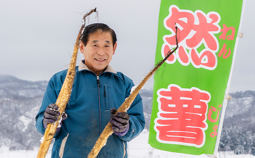 自然薯 野菜 芋 雪国育ちの自然薯1kg入り oz-zixxx1 1kg