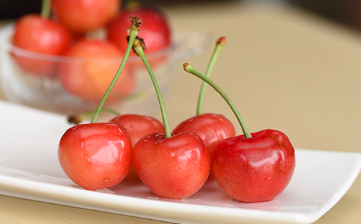 さくらんぼ 佐藤錦 秀L 1000g 1kg（バラ詰め） 2026年産 令和8年産 山形県産 ふるさと納税 果物 くだもの フルーツ 期間限定 冷蔵配送 先行受付 グルメ 取り寄せ ご当地 特産 産地 直送 送料無料 東北 山形県 人気 （500g×2パック） ry-snslb1000 秀Lサイズ 1kg（500g×2）