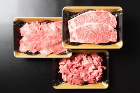 山形牛 肉 牛肉 プレミアムセット 計1400g ja-gnplx1400