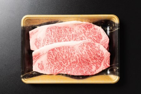 山形牛 肉 牛肉 サーロインステーキ 400g  ja-gnslx400
