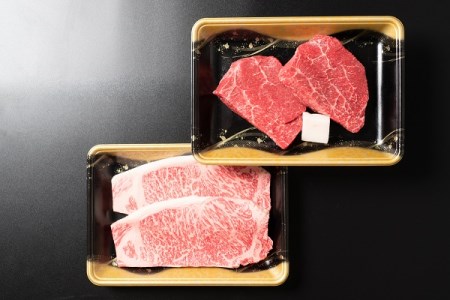 山形牛 肉 牛肉 ステーキセット 800g ja-gnssx800