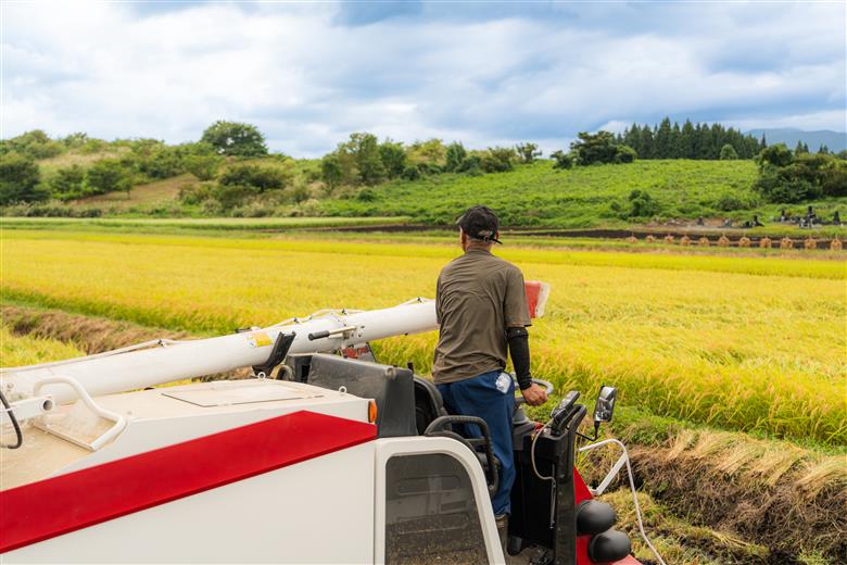 新米 米 玄米 30kg ひとめぼれ 【1週間程度で発送】 令和7年産 gt-higxx30 山形県産 ご入金確認後、1週間程度で発送