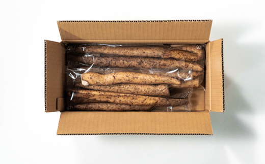 雪国育ちの自然薯 訳あり スティック 500g 野菜 やまいも じねんじょ 山形県 大石田町産 oz-ziwxx500 500g