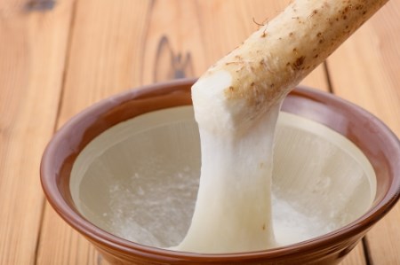 自然薯 野菜 芋 雪国育ちの自然薯2kg入り oz-zixxx2 2kg