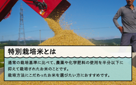 新米 米 令和7年産 【玄米3回定期便】 雪若丸 30kg×3回 2026年1月・2026年4月・2026年7月発送 大石田町産 特別栽培米 玄米 ※沖縄・離島への配送不可 ja-yugxa30x3-tkk1to7 定期便＜3回発送＞1月・4月・7月