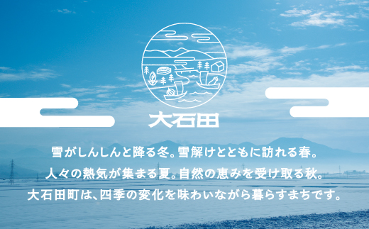 すいか 大玉 ブラックジャック 2Lサイズ×1玉 2025年産 令和7年産 山形県産 大石田町産 8月上旬から順次発送 mn-subjx2