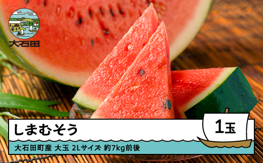 大玉すいか しまむそう 2Lサイズ×1玉 7月中旬から順次発送 2025年産 令和7年産 山形県産 大石田町産 gt-susmx2 2L 約7kg前後