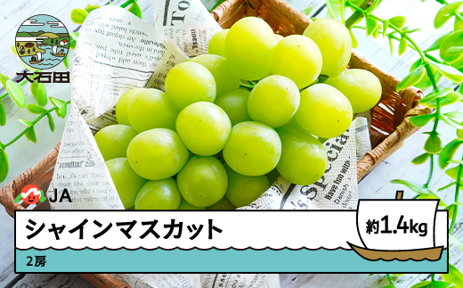 【先行予約】ぶどう シャインマスカット 約1.4kg 2房 2026年産 令和8年産 果物 フルーツ 山形県産 ja-busmx1400