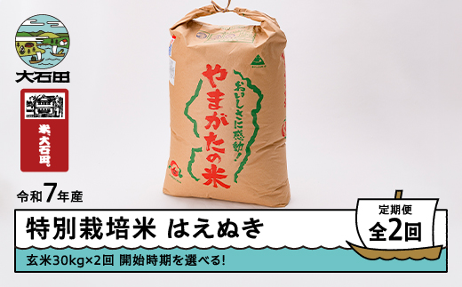 新米 米 令和7年産 【玄米2回定期便】 はえぬき 30kg×2回 2026年1月・2026年4月発送 大石田町産 特別栽培米 玄米 ※沖縄・離島への配送不可 ja-hagxa30x2-tkk1to4 定期便＜2回発送＞1月・4月