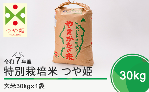 新米 米 令和8年3月下旬発送 つや姫 30kg 玄米  令和7年産 ja-tsgxa30-3s 令和8年3月下旬 発送