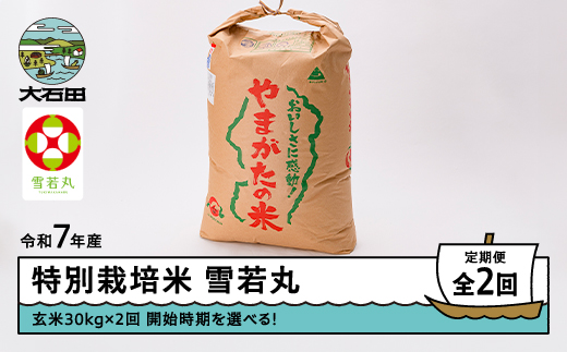 新米 米 令和7年産 【玄米2回定期便】 雪若丸 30kg×2回 2026年4月・2026年7月発送 大石田町産 特別栽培米 玄米 ※沖縄・離島への配送不可 ja-yugxa30x2-tkk4to7 定期便＜2回発送＞4月・7月