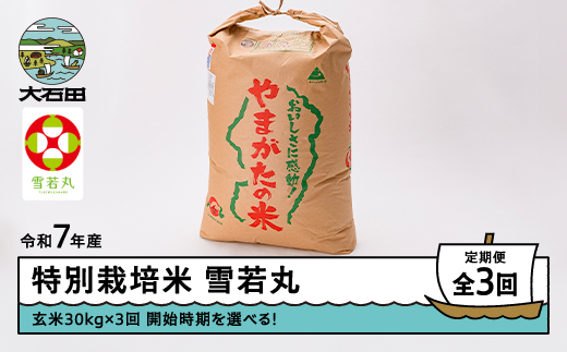新米 米 令和7年産 【玄米3回定期便】 雪若丸 30kg×3回 2026年1月・2026年4月・2026年7月発送 大石田町産 特別栽培米 玄米 ※沖縄・離島への配送不可 ja-yugxa30x3-tkk1to7 定期便＜3回発送＞1月・4月・7月