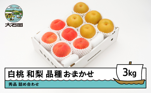 【先行予約】 もも 白桃 秀品 和梨 詰め合わせ 3kg フルーツ 果物 なし 令和8年産 2026年産 山形県産 送料無料 ns-fshnx3