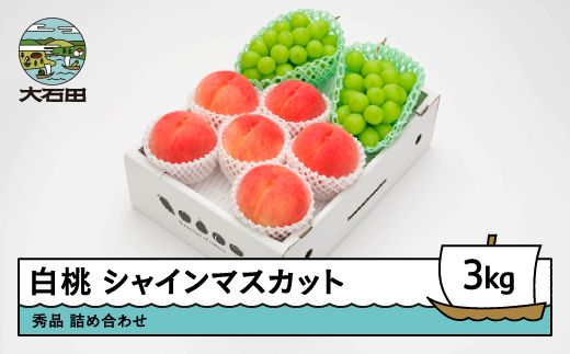 【先行予約】 もも 白桃 シャインマスカット 秀品 詰め合わせ 3kg フルーツ 果物 ぶどう 令和8年産 2026年産 山形県産 ns-fshsx3