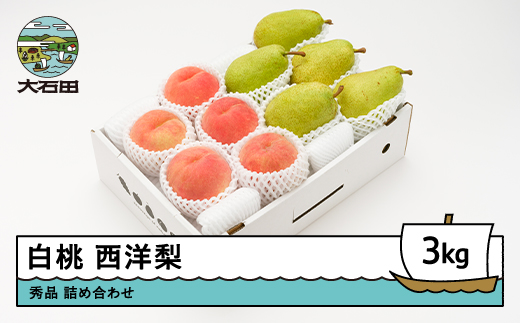 【先行予約】 白桃 西洋梨 秀品 詰め合わせ 3kg 2026年産 令和8年産 山形県産 もも 梨 果物 フルーツ セット アソート 詰合せ 送料無料 ※沖縄・離島への配送不可 ns-fshyx3
