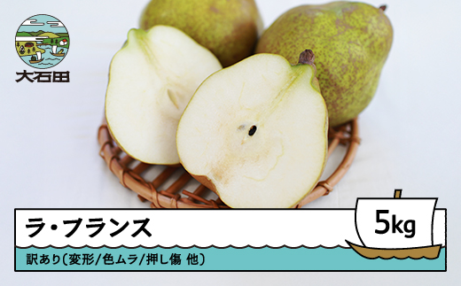 ラ・フランス 洋梨 訳あり 約5kg 2025年産 令和7年産 フルーツ 果物 山形県 ns-lawax5 5kg　訳あり
