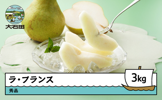 ラ・フランス 3kg 秀品 洋梨 なし ラフランス フルーツ 果物 2025年産 令和7年産 山形県産 ns-laxxx3 3kg