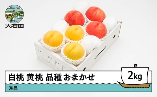 【先行予約】 もも 白桃 有袋黄桃 秀品 詰め合わせ 品種おまかせ 2kg 化粧箱入りフルーツ 果物 アソート 令和8年産 2026年産 山形県産 ns-mohot2 白桃＆黄桃 2kg
