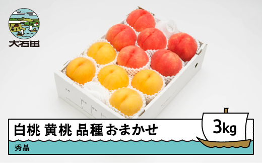 【先行予約】 もも 白桃 有袋黄桃 秀品 詰め合わせ 品種おまかせ 3kg 化粧箱入りフルーツ 果物 アソート 令和8年産 2026年産 山形県産 ns-mohot3 白桃＆黄桃 3kg