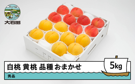 【先行予約】 もも 白桃 有袋黄桃 秀品 詰め合わせ 品種おまかせ 5kg 化粧箱入りフルーツ 果物 アソート 令和8年産 2026年産 山形県産 ns-mohot5 白桃＆黄桃 5kg