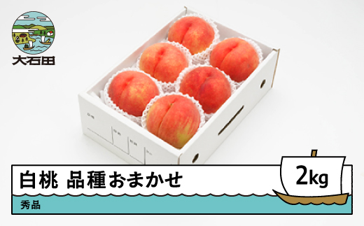【先行予約】 もも 白桃 秀品 品種おまかせ 2kg 化粧箱入りフルーツ 果物 令和8年産 2026年産 山形県産 ns-mohtx2 白桃 2kg