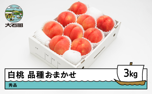 【先行予約】 もも 白桃 秀品 品種おまかせ 3kg 化粧箱入りフルーツ 果物 令和8年産 2026年産 山形県産 ns-mohtx3 白桃 3kg