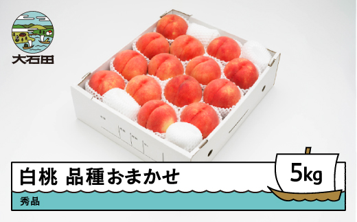 【先行予約】 もも 白桃 秀品 品種おまかせ 5kg 化粧箱入りフルーツ 果物 令和8年産 2026年産 山形県産 ns-mohtx5 白桃 5kg