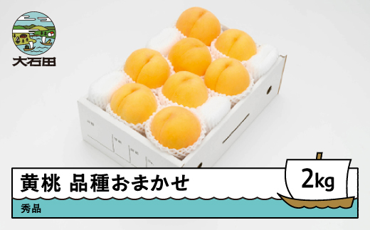 【先行予約】 もも 有袋黄桃 秀品 品種おまかせ 2kg 化粧箱入りフルーツ 果物 令和8年産 2026年産 山形県産 ns-mootx2 黄桃 2kg