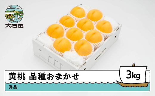 【先行予約】 もも 有袋黄桃 秀品 品種おまかせ 3kg 化粧箱入りフルーツ 果物 令和8年産 2026年産 山形県産 ns-mootx3 黄桃 3kg