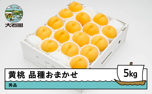 【先行予約】 もも 有袋黄桃 秀品 品種おまかせ 5kg 化粧箱入りフルーツ 果物 令和8年産 2026年産 山形県産 ns-mootx5 黄桃 5kg