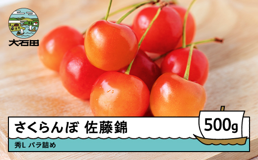 さくらんぼ 佐藤錦 秀Lサイズ バラ詰め 500g 2026年産 令和8年産 山形県産 ふるさと納税 果物 くだもの フルーツ 期間限定 冷蔵配送 先行受付 グルメ 取り寄せ ご当地 特産 産地 直送 送料無料 東北 山形県 人気山形県産 果物 フルーツ くだもの ns-snslb500 秀Lサイズ 500g