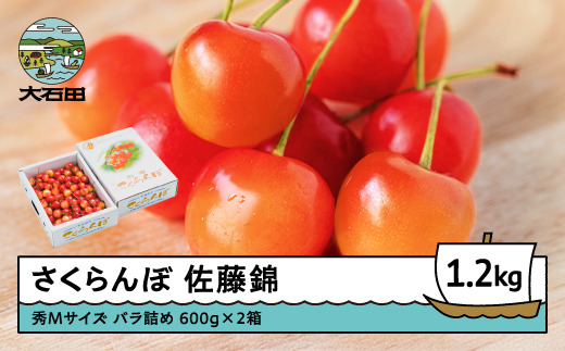 さくらんぼ 佐藤錦 秀Mサイズ バラ詰め 1.2kg(600g×2箱) 2026年産 令和8年産 山形県産 ふるさと納税 果物 くだもの フルーツ 期間限定 冷蔵配送 先行受付 グルメ 取り寄せ ご当地 特産 産地 直送 送料無料 東北 山形県 人気山形県産 ns-snsmb1200 秀Mサイズ 1.2kg (600g×2)