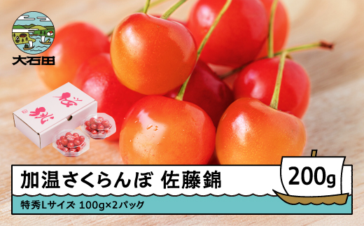 加温 さくらんぼ 佐藤錦 特秀Lサイズ プレゼント ギフト ダイヤパック 200g(100g×2) 2026年産 令和8年産 山形県産 ふるさと納税 果物 くだもの フルーツ 期間限定 冷蔵配送 先行受付 グルメ 取り寄せ ご当地 特産 産地 直送 送料無料 東北 山形県 人気山形県産 ns-sntdp200 特秀L 200g（100g×2）