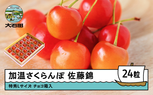 加温 さくらんぼ 佐藤錦 特秀Lサイズ プレゼント ギフト チョコ箱入 24粒 2026年産 令和8年産 山形県産 ふるさと納税 果物 くだもの フルーツ 期間限定 冷蔵配送 先行受付 グルメ 取り寄せ ご当地 特産 産地 直送 送料無料 東北 山形県 人気山形県産 ns-sntlc24 特秀L 24粒