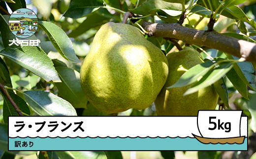 洋梨 ラ・フランス 訳あり 約5kg 2025年産 令和7年産 果物 フルーツ 山形県 ry-lawxx5000 訳あり 5kg