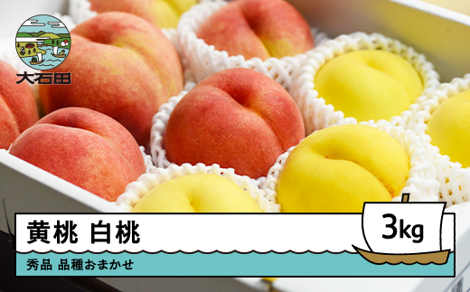 【先行予約】令和8年産 黄桃&白桃 品種おまかせ 計約3kg 2026年産 果物 ふるさと納税 果物 くだもの フルーツ 期間限定 冷蔵配送 先行受付 グルメ 取り寄せ ご当地 特産 産地 直送 送料無料 東北 山形県 人気 山形県 ry-mohot3000 白桃＆黄桃 3kg（7玉~13玉前後）