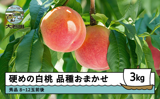 【先行予約】 桃 もも 硬めの白桃 品種おまかせ 3kg 山形県産 2026年産 令和8年産 ふるさと納税 果物 くだもの フルーツ 期間限定 冷蔵配送 先行受付 グルメ 取り寄せ ご当地 特産 産地 直送 送料無料 東北 山形県 人気 果実 送料無料 ry-mohth3000 硬めの白桃 3kg（約8~12玉）