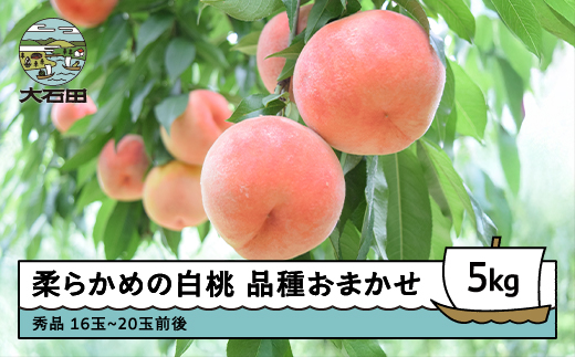 【先行予約】 桃 もも 柔らかめの白桃 品種おまかせ 5kg 山形県産 2026年産 令和8年産 ふるさと納税 果物 くだもの フルーツ 期間限定 冷蔵配送 先行受付 グルメ 取り寄せ ご当地 特産 産地 直送 送料無料 東北 山形県 人気 果実 送料無料 ry-mohts5000 柔らかめの白桃 5kg（約16~20玉）