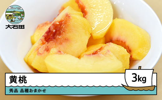 【先行予約】令和8年産 黄桃 品種おまかせ 約3kg 2026年産 果物 ふるさと納税 果物 くだもの フルーツ 期間限定 冷蔵配送 先行受付 グルメ 取り寄せ ご当地 特産 産地 直送 送料無料 東北 山形県 人気 山形県 ry-mootx3000 黄桃 約3kg（約8~12玉）