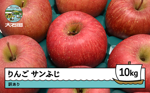 りんご サンふじ 訳あり 約10kg 2025年産 令和7年産 果物 フルーツ 山形県 ry-risfw10000 サンふじ 訳あり 約10kg（30玉~44玉前後）