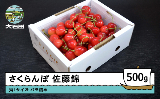 さくらんぼ 佐藤錦 秀L 500g 2026年産 令和8年産 山形県産 ふるさと納税 果物 くだもの フルーツ 期間限定 冷蔵配送 先行受付 グルメ 取り寄せ ご当地 特産 産地 直送 送料無料 東北 山形県 人気 ry-snslb500 秀Lサイズ 500g