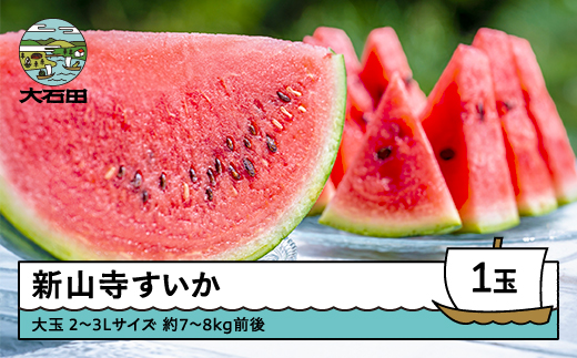 大玉すいか 新山寺すいか 2~3Lサイズ×1玉 2026年産 令和8年産 山形県産 東北 果物 くだもの フルーツ 人気 オススメ 便利 グルメ 取り寄せ ご当地 特産 産地 直送 支援 yd-suoxx2 2~3L 約7~8kg前後