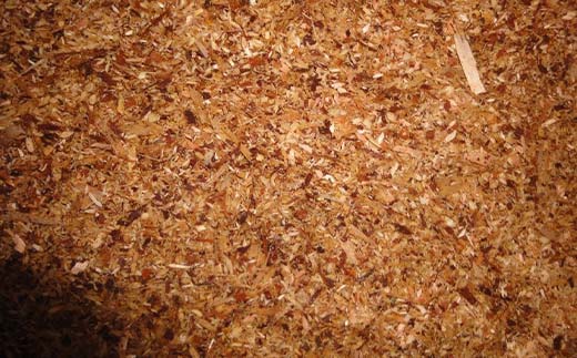 金山杉のオガ粉23kg 140サイズ 木 木材 スギ 山形県 金山町 F4B-0458