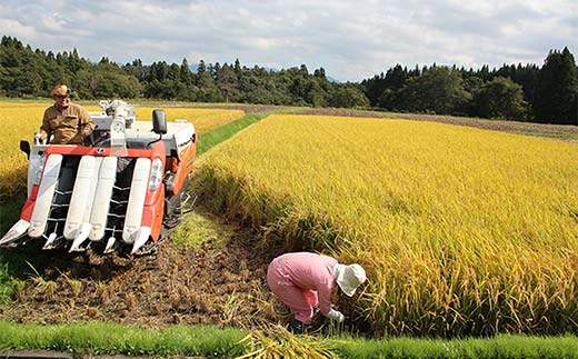 先行予約 令和7年産 金山町産はえぬき 定期便 5kg×8回（40kg）米 お米 白米 ご飯 精米 ブランド米 送料無料 東北 山形 金山町 F4B-0615