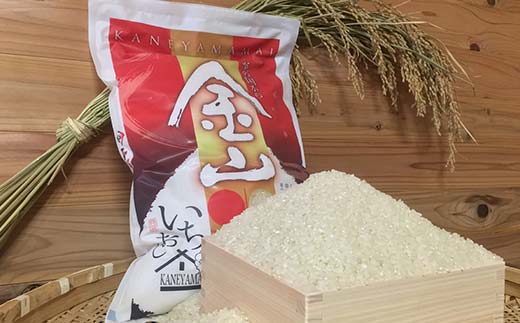 【令和7年産】定期6回 金山町産 特別栽培米 コシヒカリ 精米 5kg 米 お米 ご飯 ブランド米 定期便 F4B-0627